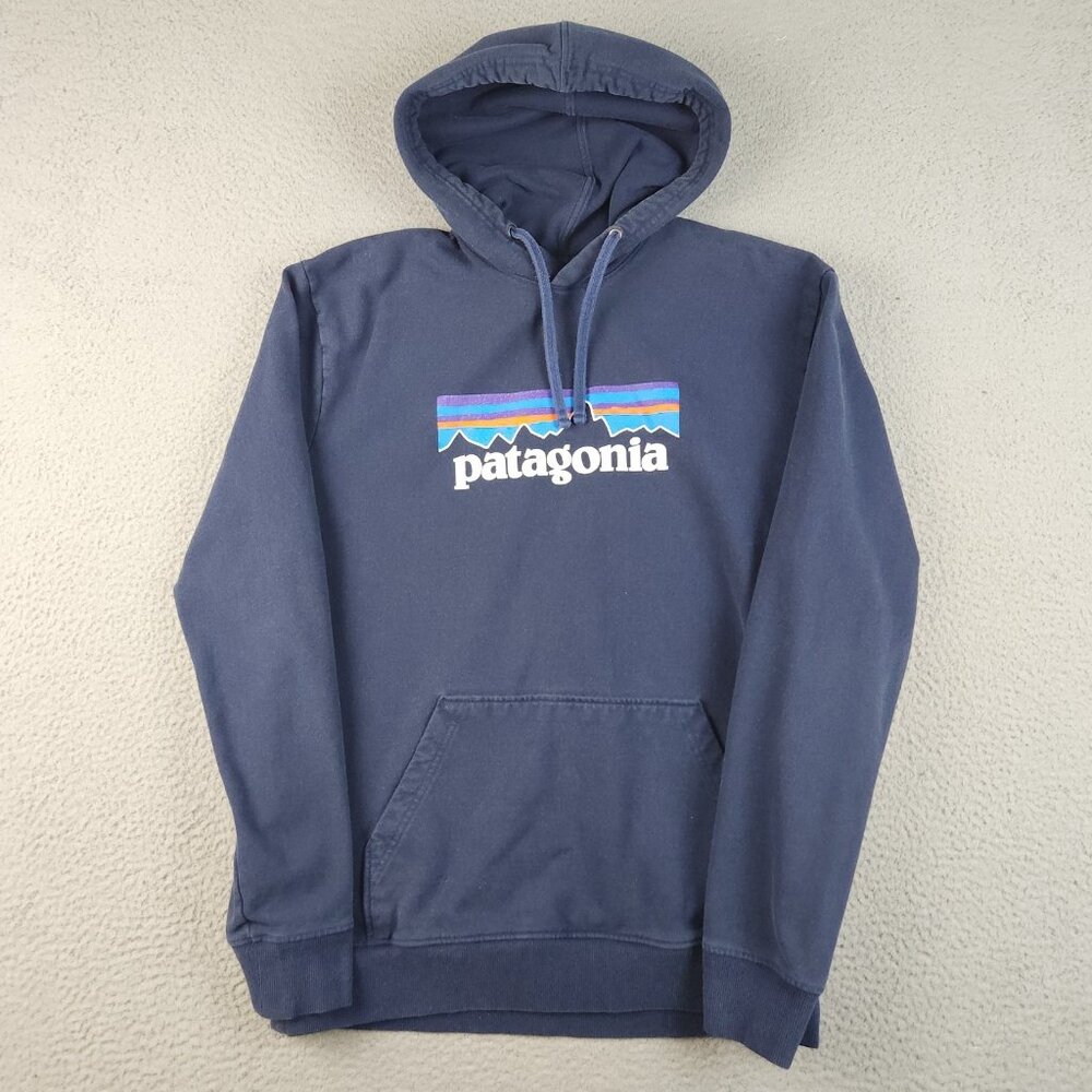 Patagonia Blue Hoodie